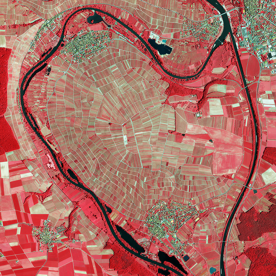 Color-Infrarot-Luftbildaufnahme aus dem Landkreis Kitzingen zeigt ein Weinanbaugebiet und Flüsse. Vegetation ist in Rot dargestellt und Gewässer in Türkis.